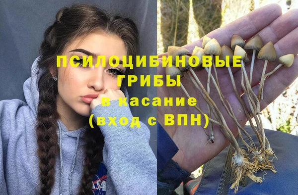 не бодяженный Богородск